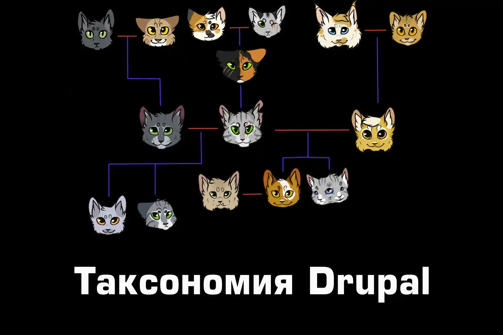 Таксономия Drupal, словари, термины